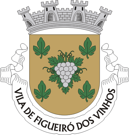 Bras�o de Figueir� dos Vinhos
